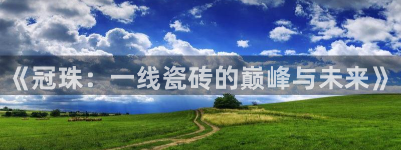 和记体育买球官网