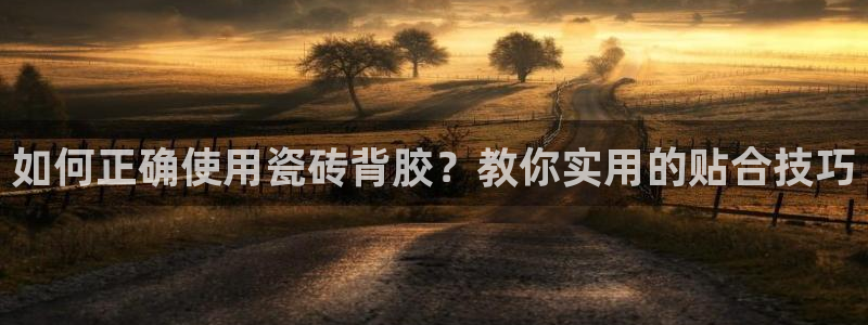 和记官网客服app