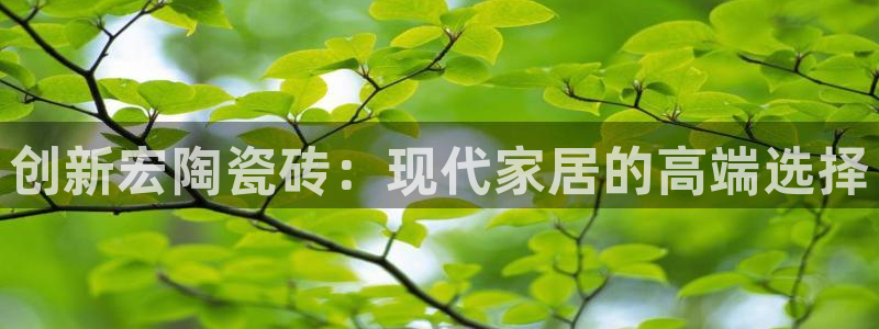 和记官网和记