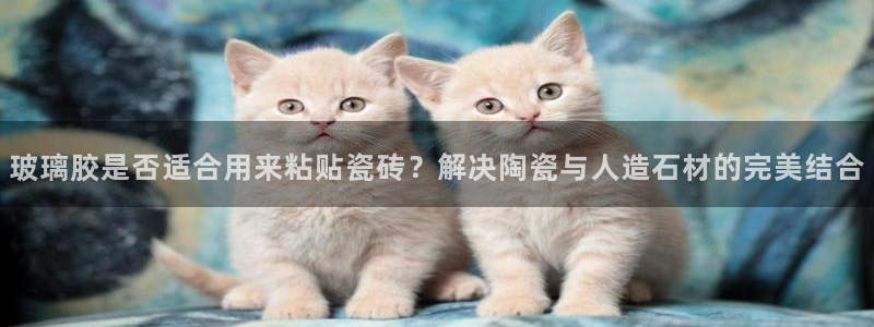 澳门和记电信官网