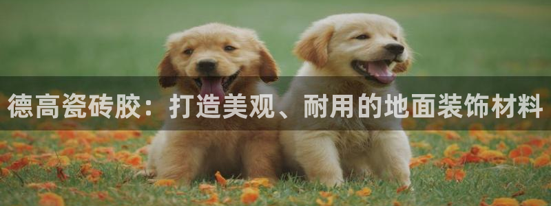 和记国际平台官网