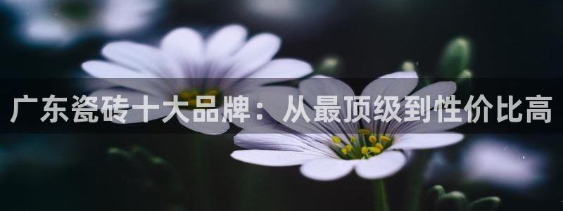 和记娱乐旗舰官网