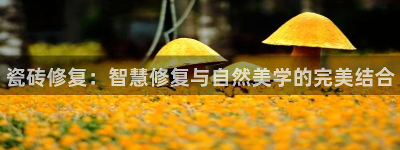 和记 中国官网