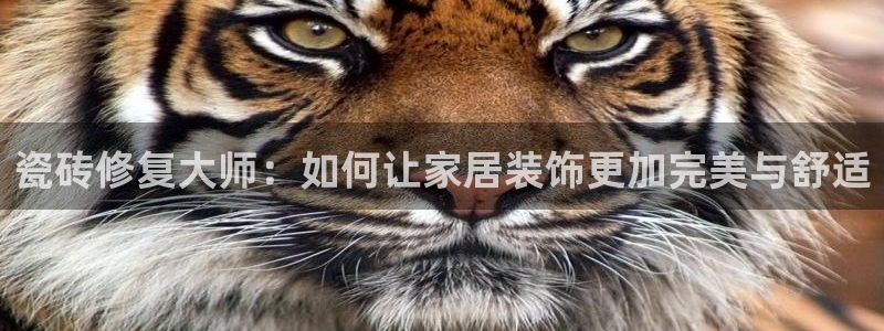 和记娱乐 官网